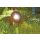 LunAqua Power LED Set 1