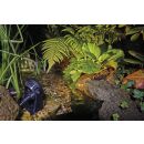 LunAqua Power LED Set 3