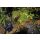 LunAqua Power LED Set 3