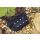 LunAqua Power LED Driver 3 m