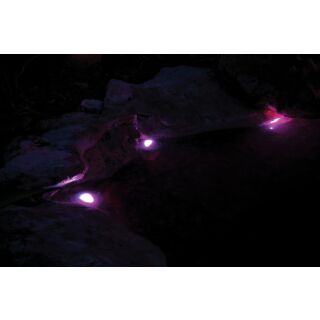 Pontec PondoStar LED RGBW Set 3 Farbige LED Beleuchtung