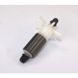 22647 Ersatzrotor kpl. ASE 750 magnetisiert