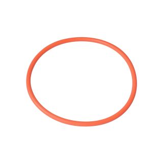 17084 O-Ring SI 114,2 x 5,7 SH70