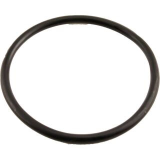 O-Ring Viton 102 x 3 SH50 A