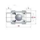 PVC ball check valve ¾" female
