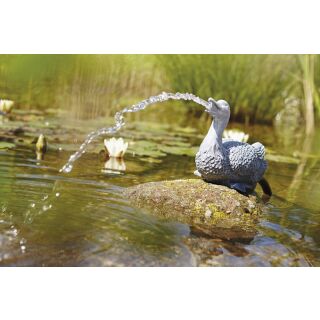 Wasserspeier Ente