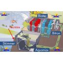 Oase BioSys Skimmer +