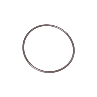 O-Ring SI 100 x 4 SH45